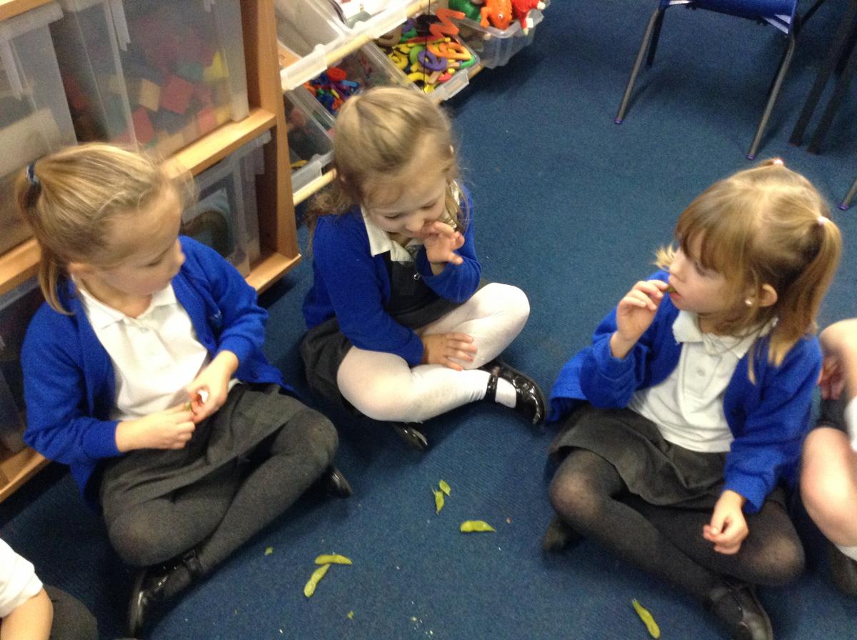 Year 5 Writing Blogs Winton Primary School