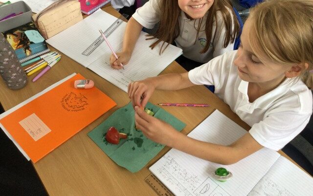 5578222c-e882-4009-8836-09f48e5b74fc